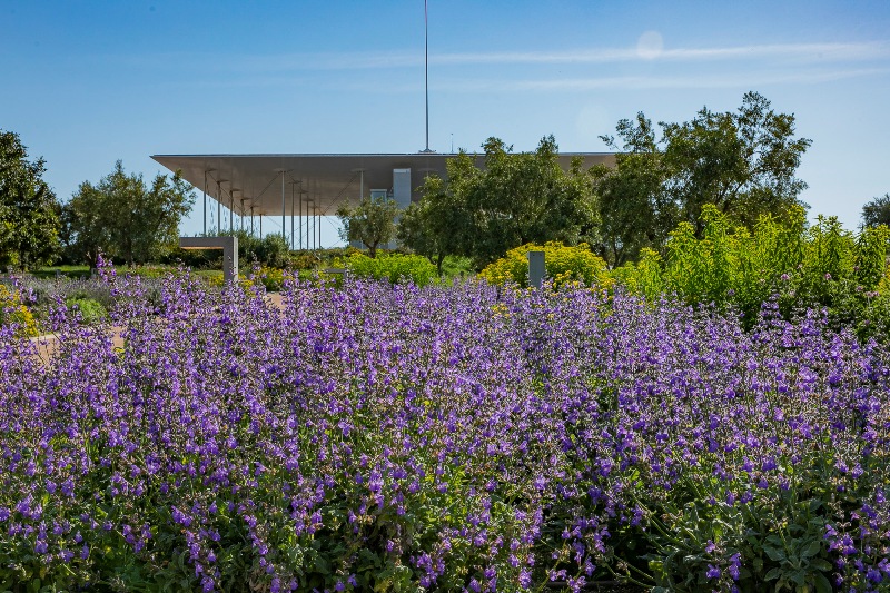Οι μουσικές εκδηλώσεις την Άνοιξη στο ΚΠΙΣΝ