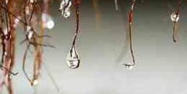 Η ΤΡΙΣΔΙΑΣΤΑΤΗ ΚΑΙ ΔΙΣΔΙΑΣΤΑΤΗ ΜΗΤΡΟΠΟΛΙΤΙΚΗ ΕΙΚΟΝΑ # 4