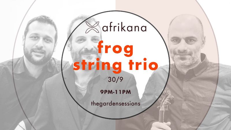 Frog String Trio στην Αυλή