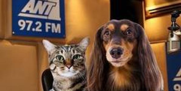 ANT1 97,2: 22 ΧΡΟΝΙΑ ΣΤΑ FM