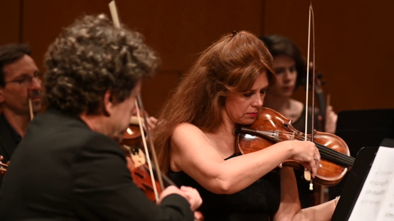 Οι Μουσικοί της Καμεράτας στις Σπέτσες 