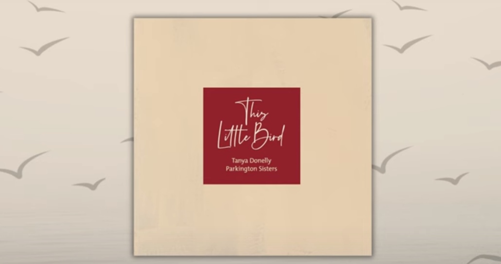 Iggy Pop, Cat Power, Shirley Manson και άλλοι σε άλμπουμ διασκευών της Marianne Faithfull