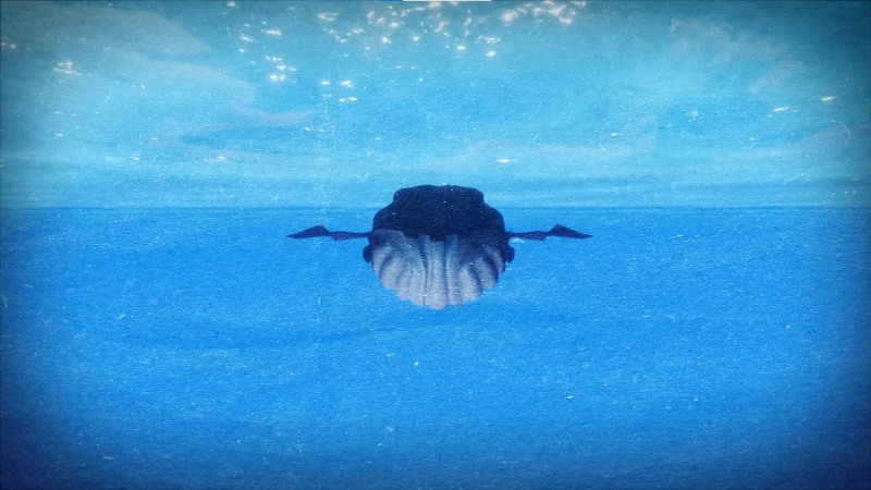 Το μουσικό παραμύθι «Πώς βρέθηκε ένα κοράκι στην κοιλιά της φάλαινας;» έρχεται στη GNO TV