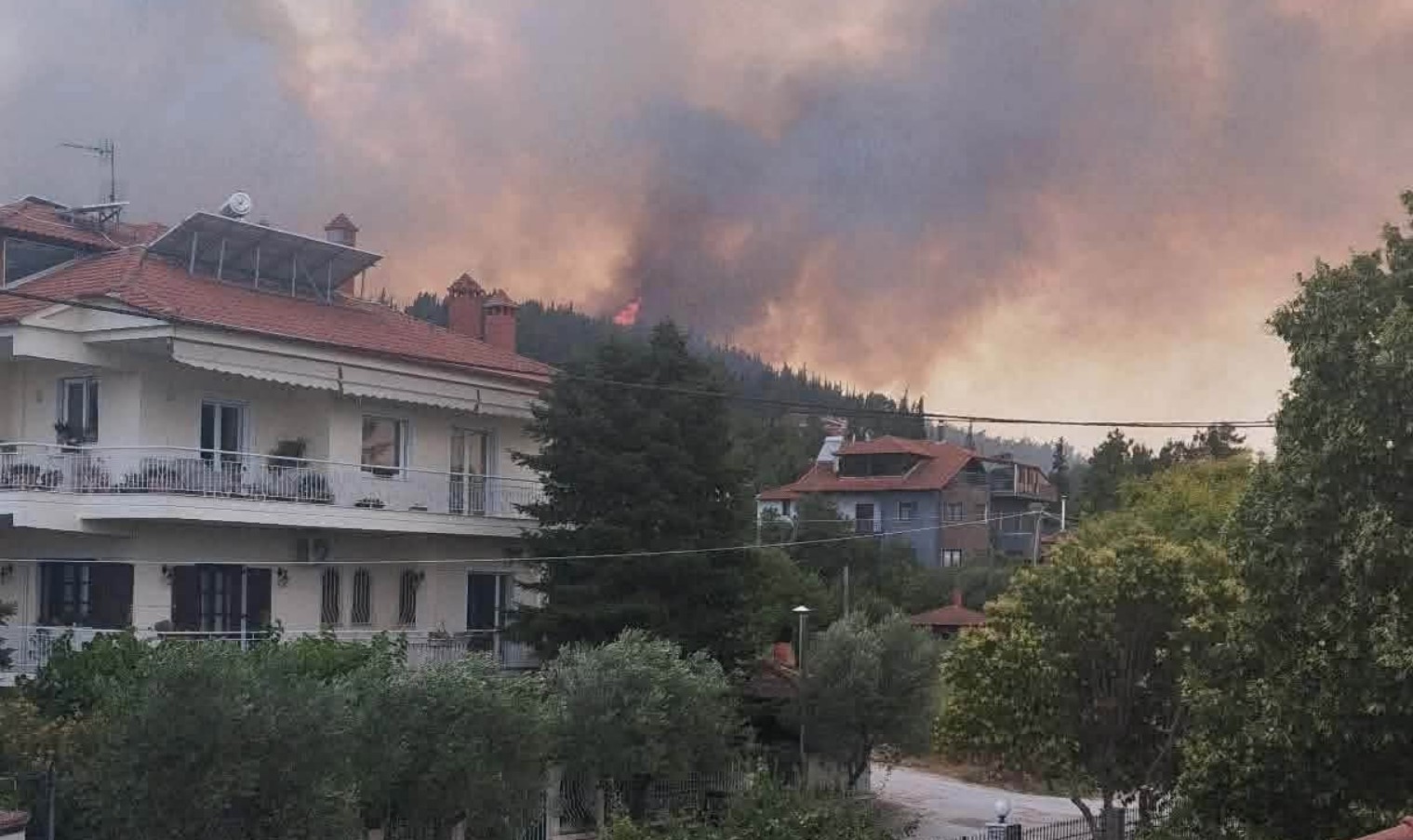 Έψαξε και βρήκε τον τέλειο αυτόπτη μάρτυρα η ΕΡΤ