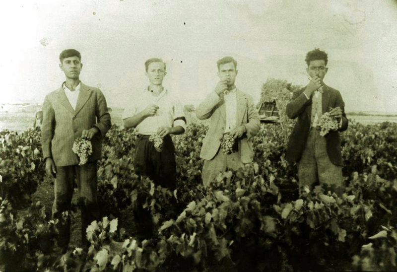 Τα ριζά στο Κέντρο Ελέγχου Τηλεοράσεων