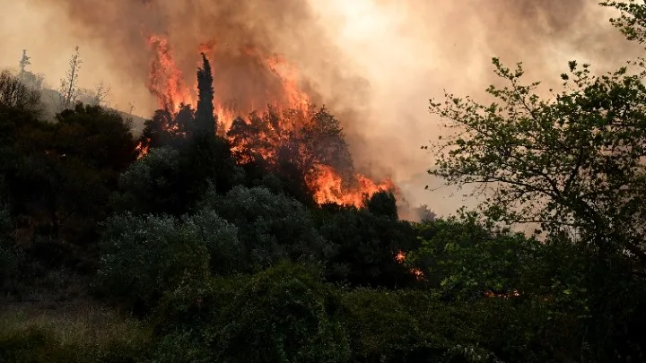 ΕΡΤ, ΣΚΑΪ, Mega και Open στις επάλξεις για την κάλυψη των πυρκαγιών