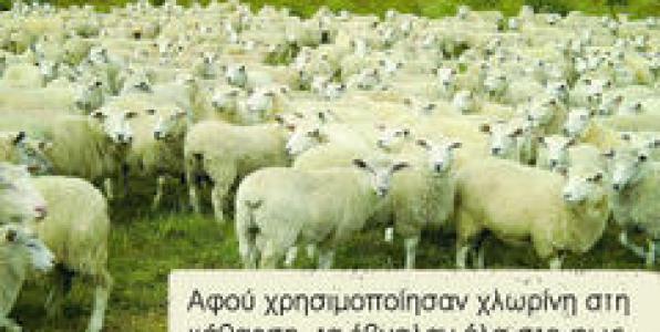 ΔΙΑΛΥΘΕΙΤΕ ΗΣΥΧΩΣ!