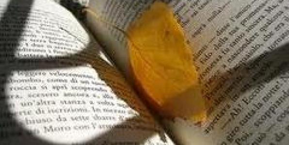 ΜΕ ΠΟΙΗΜΑΤΑ ΘΑ ΣΩΣΟΥΜΕ ΤΗΝ ΕΡΤ