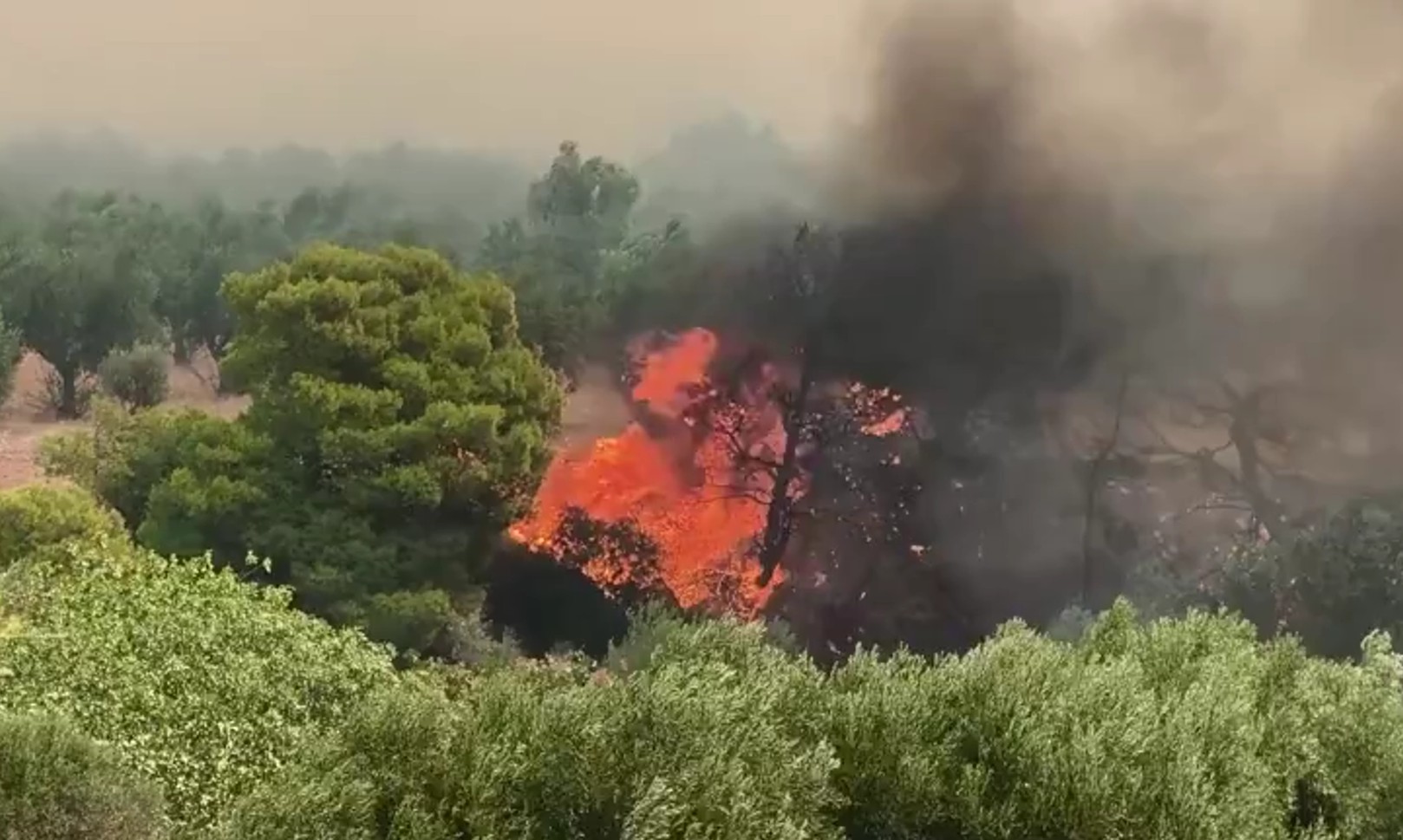 Το «ΕΡΤnews Radio 105.8», το Πρώτο Πρόγραμμα δηλαδή, στις επάλξεις