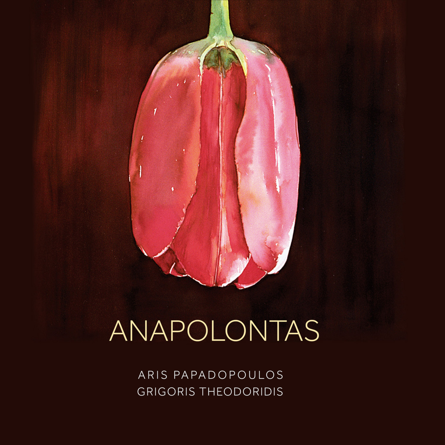 «Anapolontas»: Το πρώτο album του Άρη Παπαδόπουλου και του Γρηγόρη Θεοδωρίδη