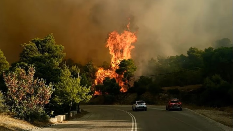 Η Ελλάδα καιγόταν και το ΕΡΤ News έπαιζε πρόγραμμα «κονσέρβα»