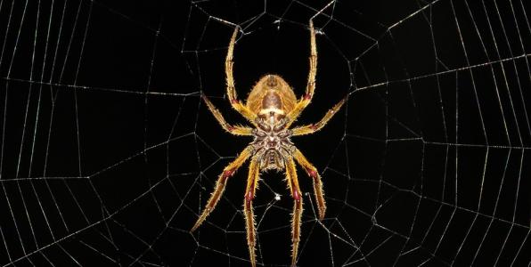 «Αιώνια τεμπελόσκυλα» για το περιβάλλον Μαρινάκη η ΕΤΕΡ και οι αριστεροί των FM